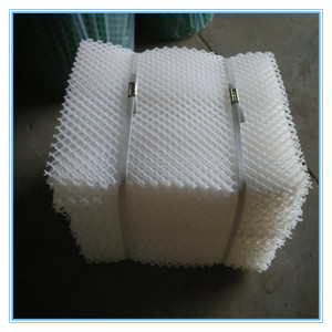 White Plastic Mesh Plate/ Mattes Net