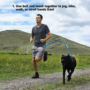 Premium Hands-Free Running Dog Leash with Ergonomic Waist Belt (KCY002)